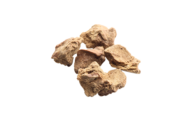 What's So Unique About CORE® RawRev for Cats?