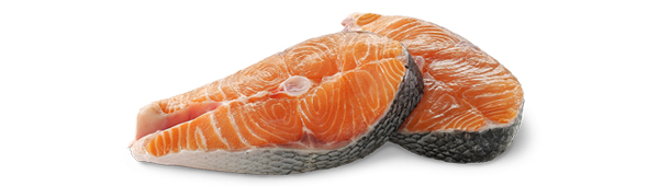 Our Top Picks for Pets Who Love Seafood