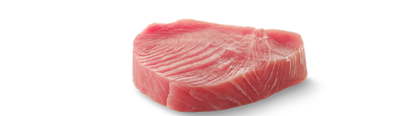 Our Top Picks for Pets Who Love Seafood