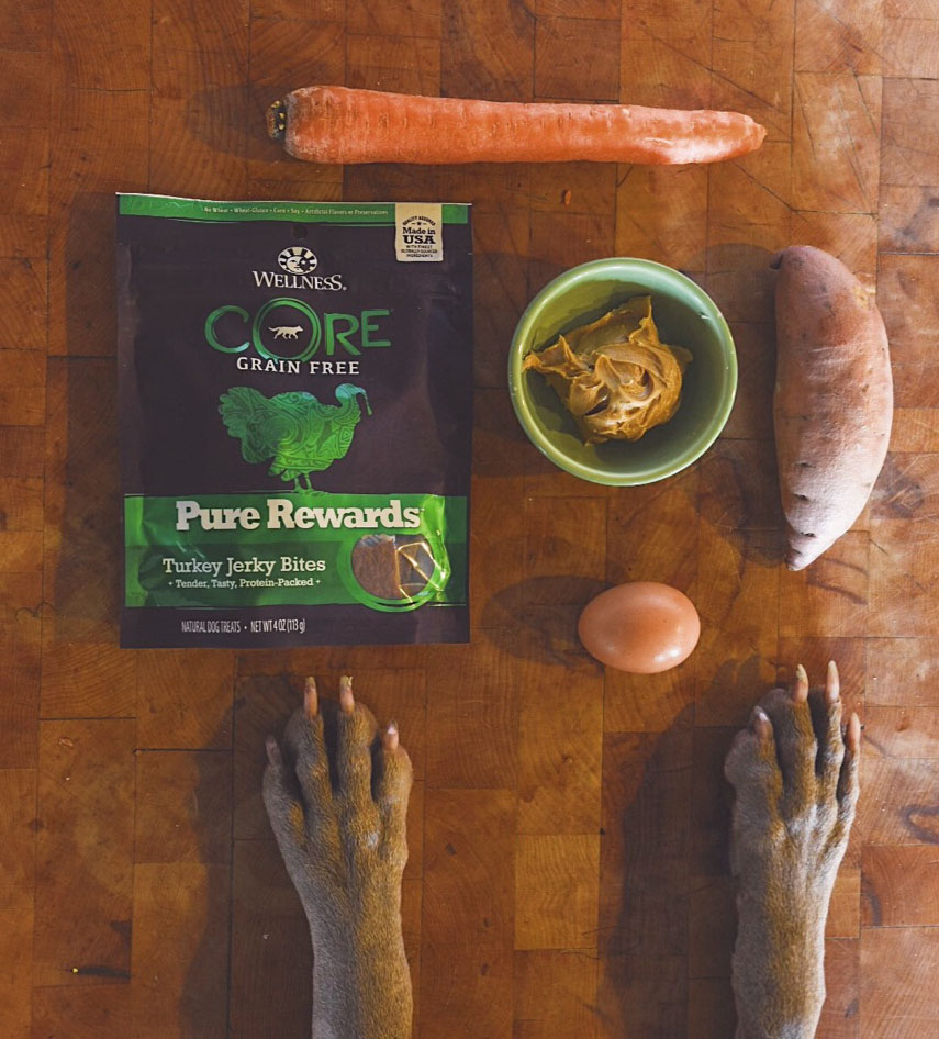 Cooking with Koda: Sweet Potato Cookies