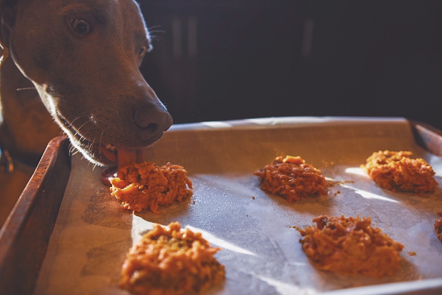 Cooking with Koda: Sweet Potato Cookies