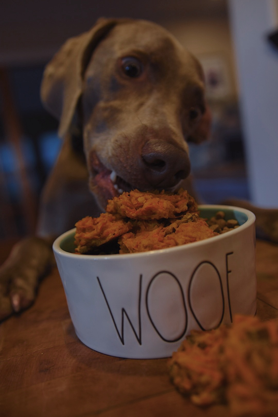 Cooking with Koda: Sweet Potato Cookies
