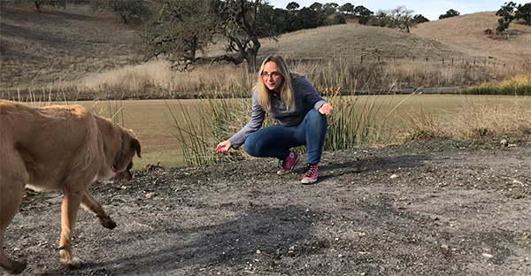 How to Choose a Professional Dog Trainer You're Comfortable With